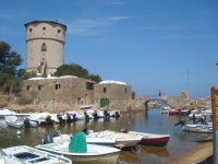 /album/giglio/sl274718-jpg/