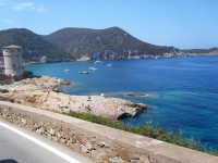 /album/giglio/sl274721-jpg/