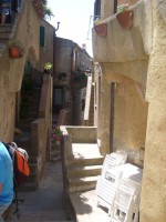 /album/giglio/sl274724-jpg/